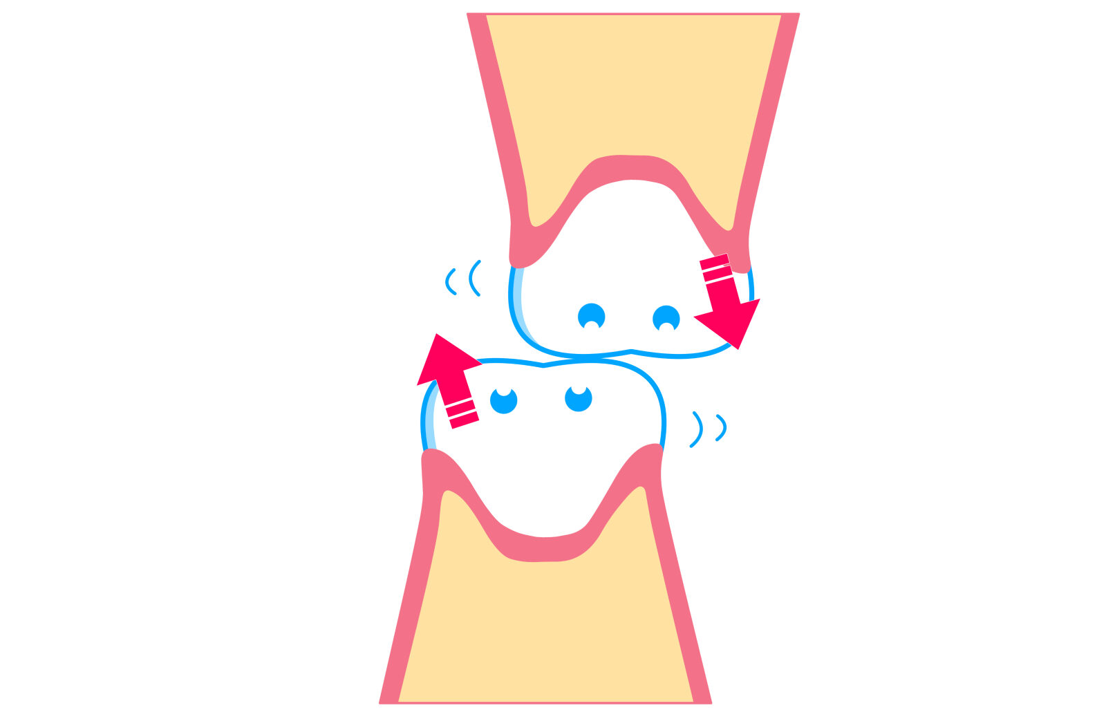 歯列・咬合・顎の関節状態に関すること